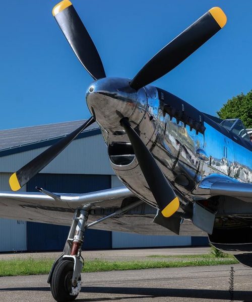 Fiat G.59 D-FIAT 2017-05-26 -31