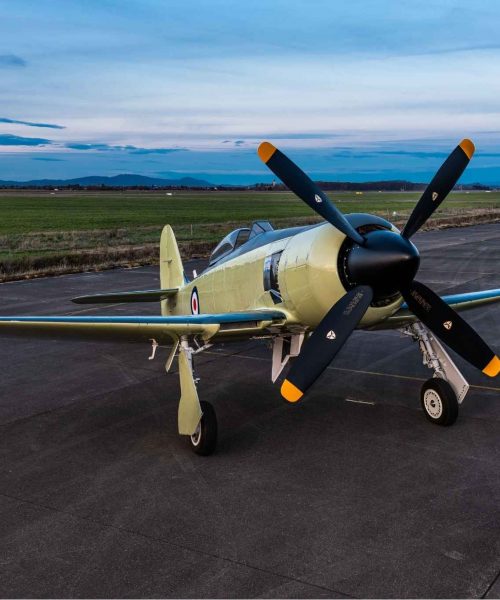 N1954H-warbirds-for-sale-tina-fly