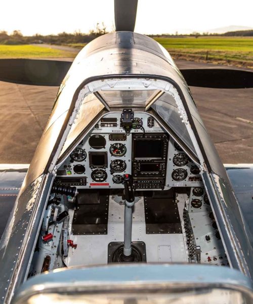 cockpit-view-tina-fly