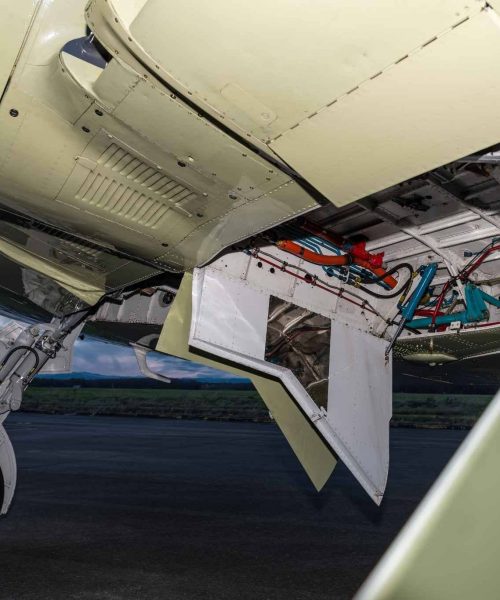 hawker-sea-fury-for-sale-tina-fly