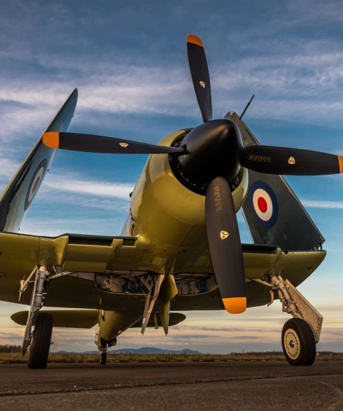 hawker-sea-fury-warbird-sale