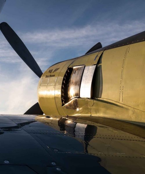 hawker-sea-fury-warbirds-for-sale