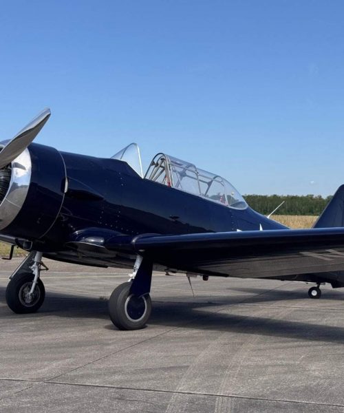 north-american-t6-N4PC-warbird