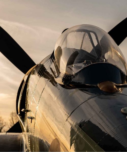 warbird-adventure-N1954H-tina-fly